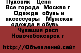 Пуховик › Цена ­ 2 000 - Все города, Москва г. Одежда, обувь и аксессуары » Мужская одежда и обувь   . Чувашия респ.,Новочебоксарск г.